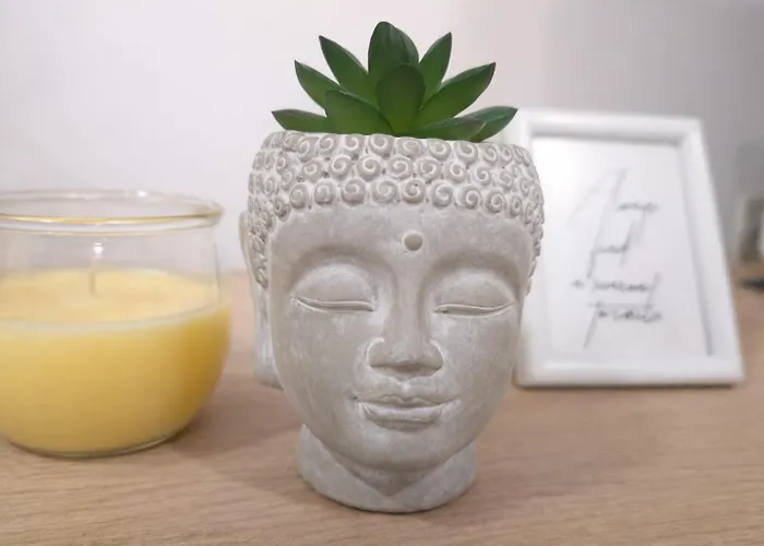 Hera Exclusive 2 Timisoara