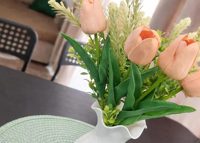 Hera Exclusive 2 Apartment Timişoara